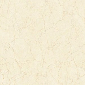 Gạch granite Thạch Bàn men bóng 600x600 TGB60 - 0853.0