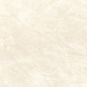 Gạch lát nền Granite mài bóng 600x600 FGB60-0007.0