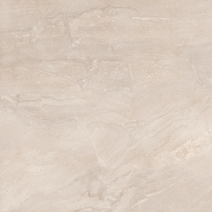 Gạch Viglacera 600x600 Platinum PH66-01 